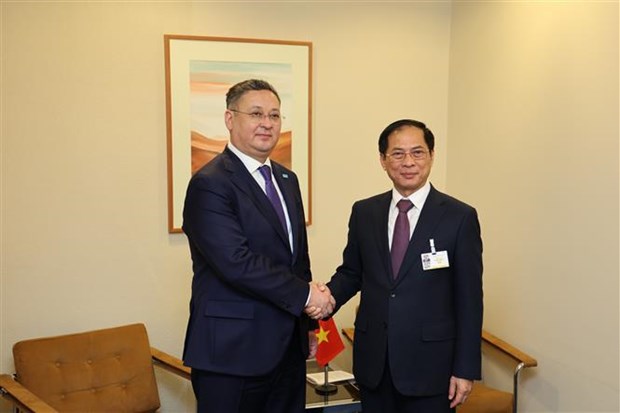 Foreign Minister meets leaders of UN, countries in Geneva hinh anh 3