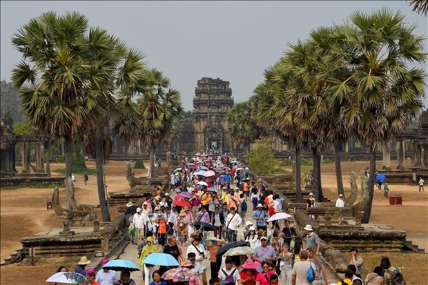 Cambodia voted as Asia's leading cultural destination hinh anh 1