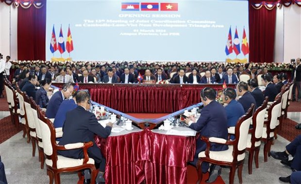 Vietnam calls for breakthrough measures for CLV development triangle area hinh anh 2
