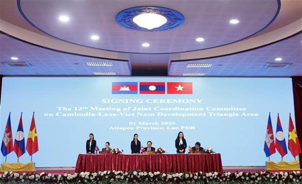 Vietnam calls for breakthrough measures for CLV development triangle area hinh anh 1