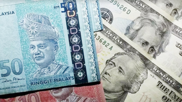Malaysia works to strengthen local currency hinh anh 1