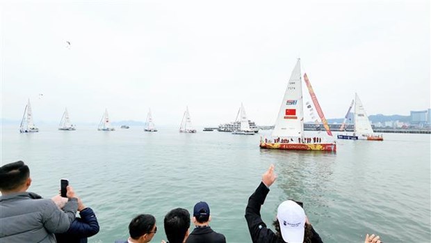 Clipper Round World Yacht Race’s sailing teams leaves Quang Ninh, starting 8th leg hinh anh 1