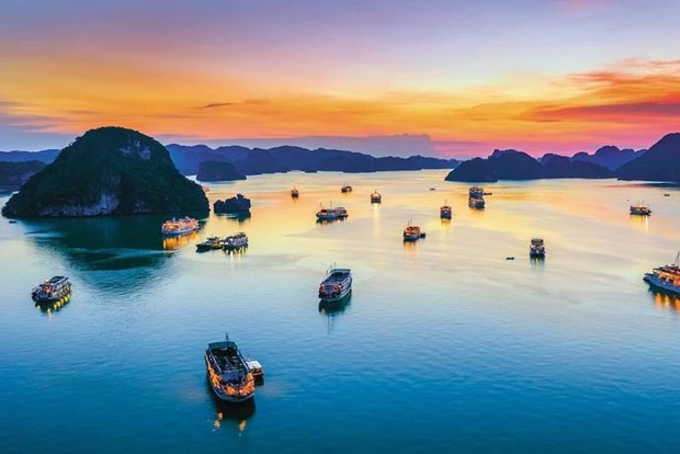 Drone light show to be performed over Ha Long Bay this summer hinh anh 1