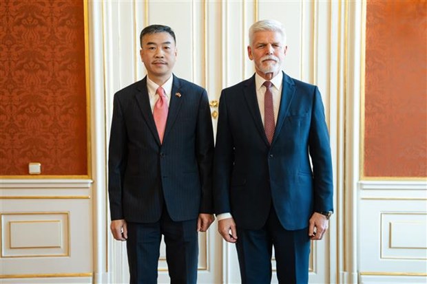 Český prezident oceňuje tradiční přátelství s Vietnamem hinh anh 1
