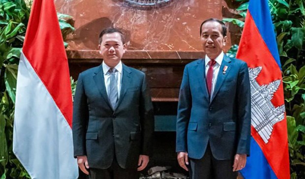 Indonesian, Cambodian leaders discuss trade, investment ties hinh anh 1
