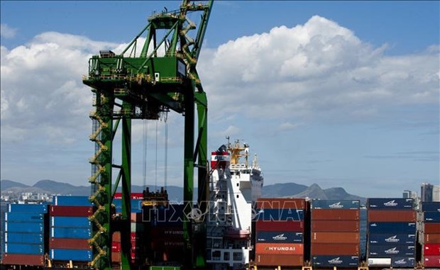 Brazil increases imports from Vietnam hinh anh 1