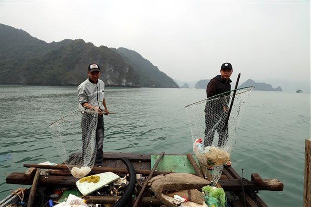 Waste collection in Ha Long Bay intensified hinh anh 1