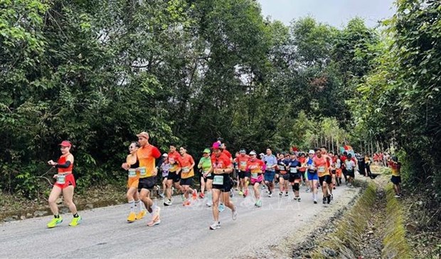 Nearly 2,400 runners join in Quang Binh Discovery Marathon 2024 hinh anh 1