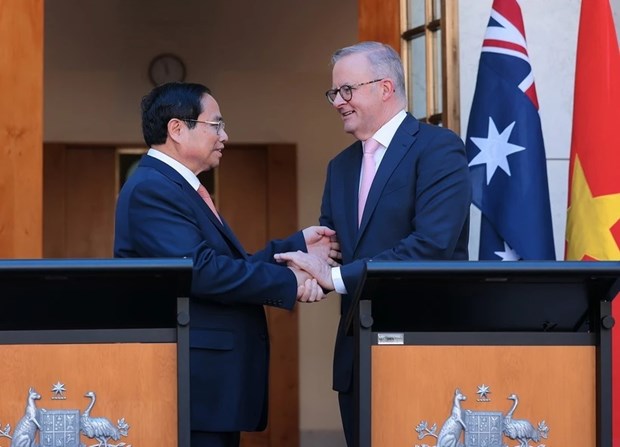 Vietnam-Australia ties become more effective, substantial: Scholars hinh anh 1