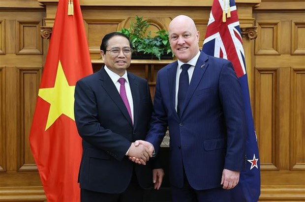 Vietnamese, New Zealand PMs outline major orientations for stronger ties hinh anh 1
