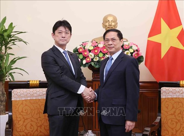 Foreign Minister lauds progress of Vietnam - Japan cooperation hinh anh 1