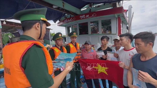 Quang Ngai cracks down on IUU fishing hinh anh 1