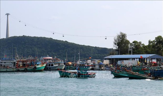 Kien Giang takes action in IUU fishing combat hinh anh 1