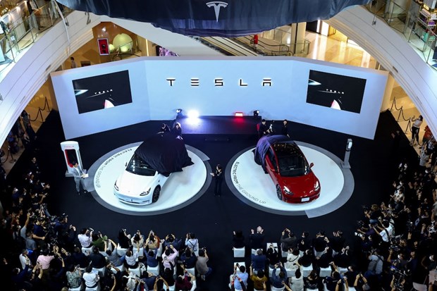Southeast Asia becomes Tesla's priority for expansion hinh anh 1