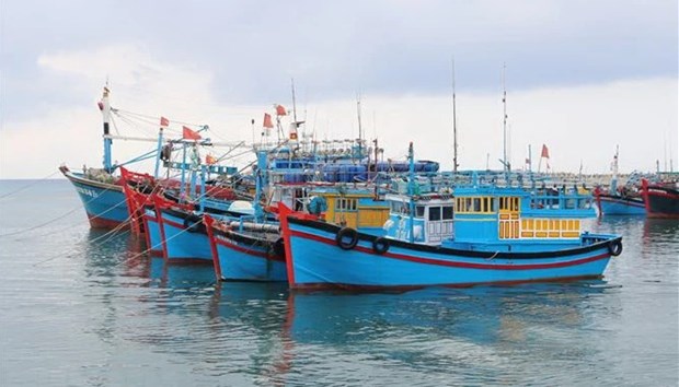 Thanh Hoa takes drastic measures to combat IUU fishing hinh anh 1