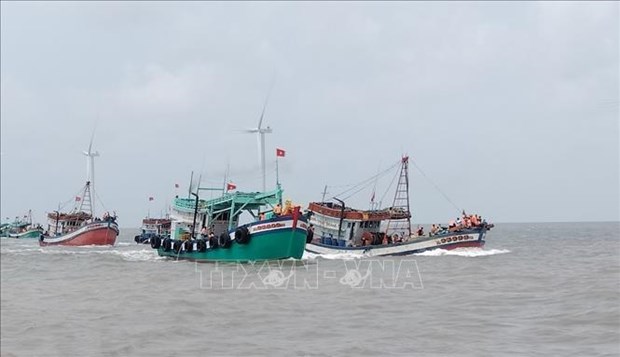Bac Lieu increases local fishermen's awareness of IUU fishing hinh anh 1