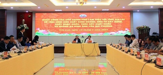 Gia Lai urged to promote administrative reform hinh anh 1