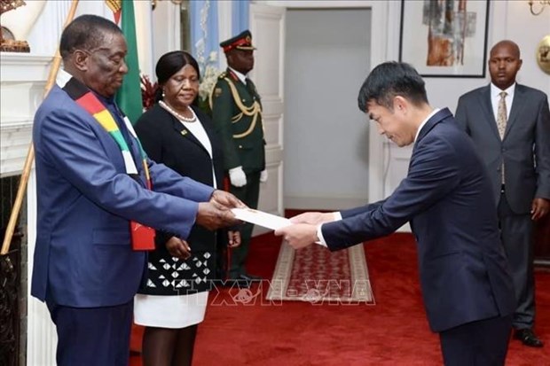 Vietnamese ambassador presents credential letter to Zimbabwean President hinh anh 1