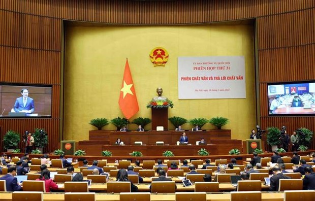 Diplomacy helps mobilise external resources for socio-economic development: minister hinh anh 1