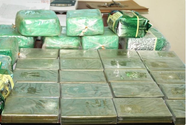 Over 3 tonnes of drugs seized in 14 months hinh anh 1