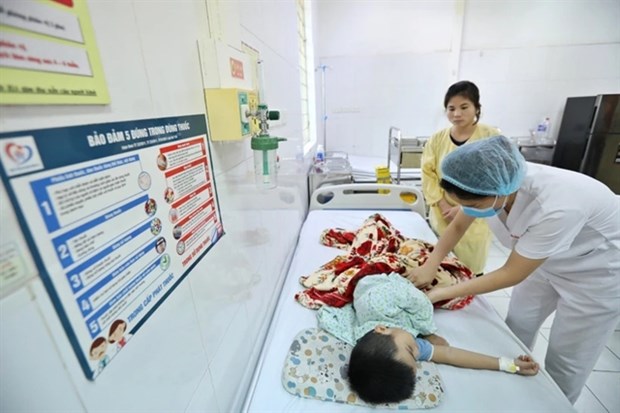 Hanoi records threefold increase in dengue fever compared to 2023 hinh anh 1
