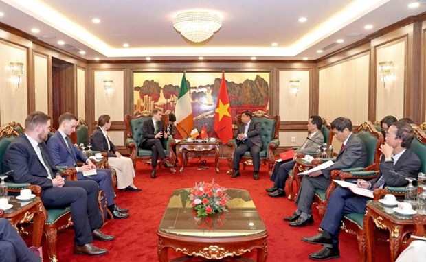 Vietnam keen on expanding trade, investment cooperation with Ireland: Minister hinh anh 1