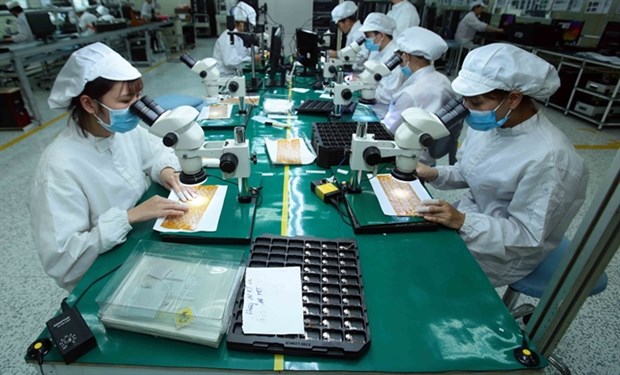 Vietnam's exports to US steadily recover hinh anh 1