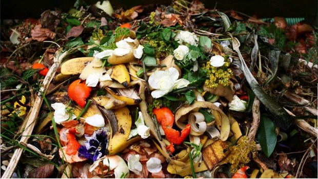 Thai researchers turn food waste into biochar hinh anh 1