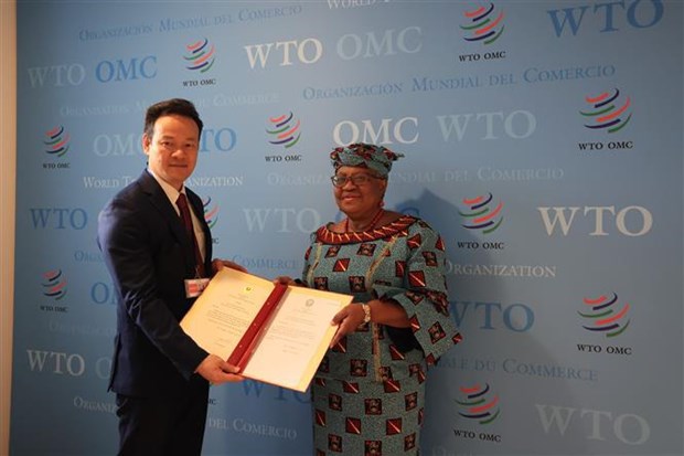 WTO acknowledges Vietnam’s contributions to multilateral trade system hinh anh 1