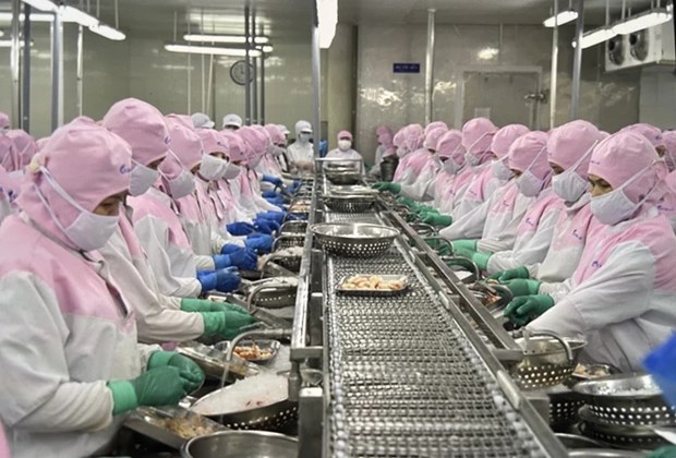 Vietshrimp 2024: Measures sought to recover shrimp industry hinh anh 1