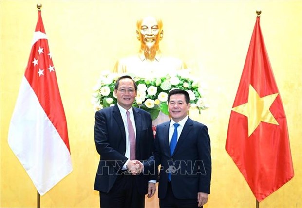 Vietnam, Singapore deepen economic, energy cooperation hinh anh 1
