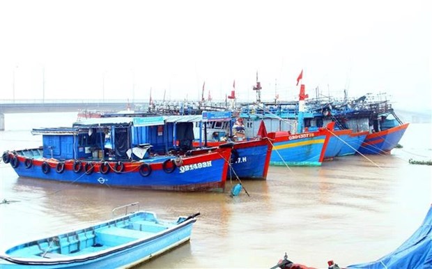 Quang Binh strives to combat IUU fishing hinh anh 1