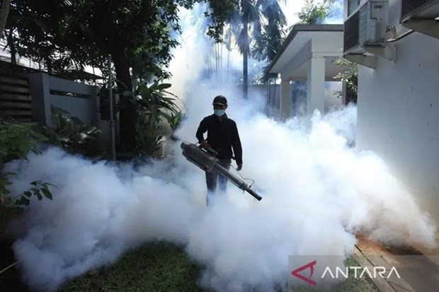 Indonesia logs twofold increase in dengue cases hinh anh 1