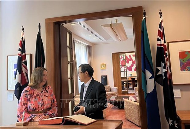 New Vietnamese Ambassador pays courtesy call to President of Australian Senate hinh anh 1