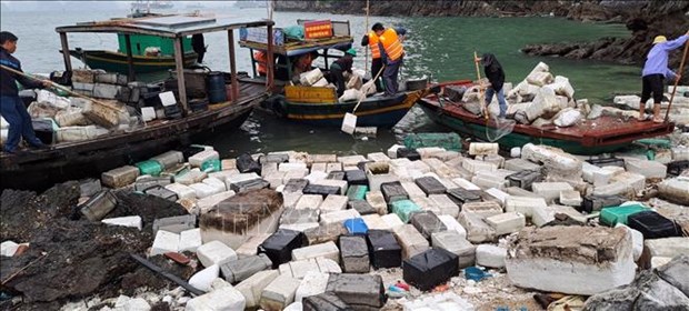 Waste collection, cleanup campaign to be launched in Ha Long Bay hinh anh 1
