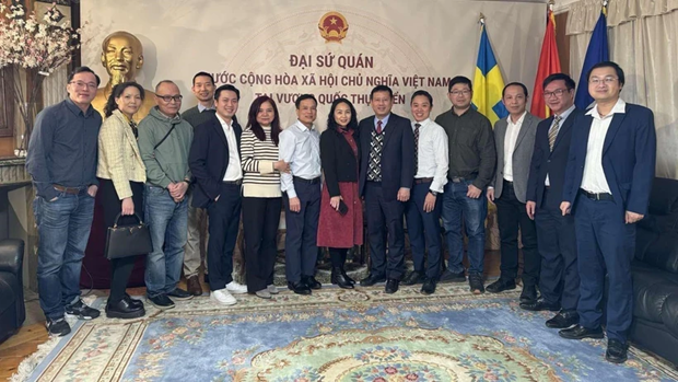 Vietnamese scientists in Sweden wish to further contribute to homeland hinh anh 1