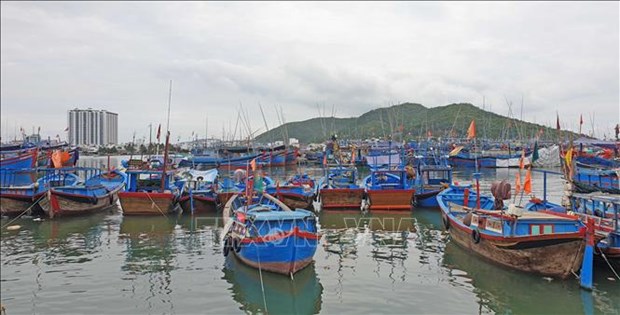 Khanh Hoa ramps up vessel control in anti-IUU fishing efforts hinh anh 1