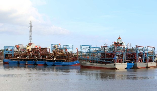 Nam Dinh province resolved to fight IUU fishing hinh anh 1