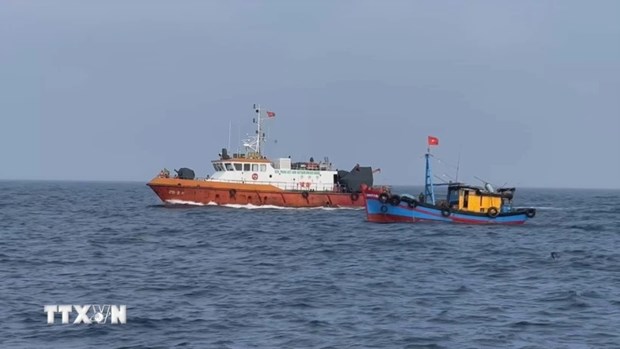 Joint efforts help prevent IUU fishing hinh anh 1