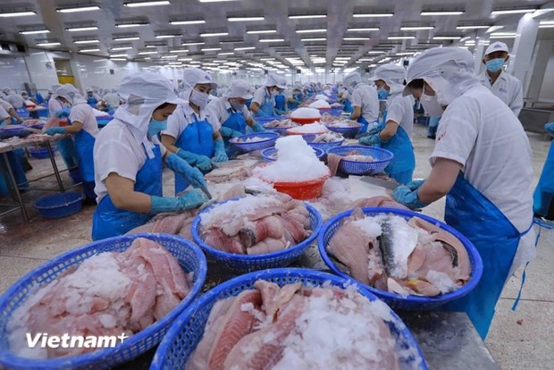 Fisheries sector’s 65th traditional day marked in Hanoi hinh anh 1