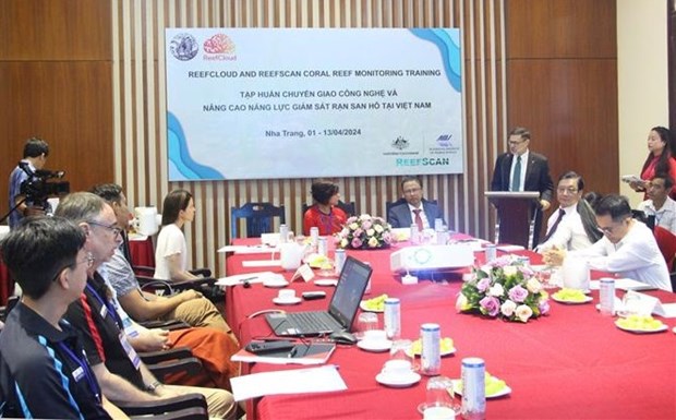 Australia helps Vietnam monitor, protect coral reefs hinh anh 1