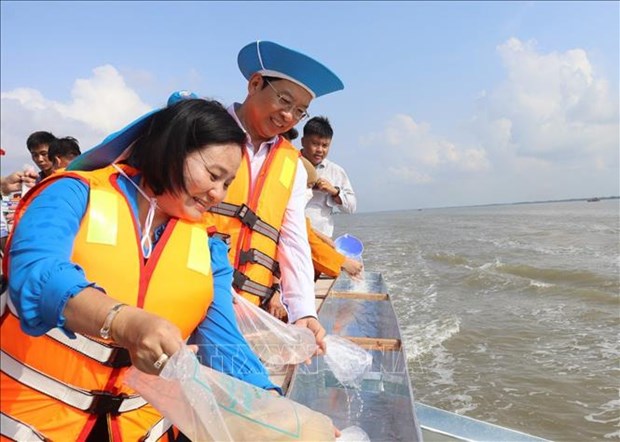 Millions of aquatic species released to regenerate fisheries resources hinh anh 1