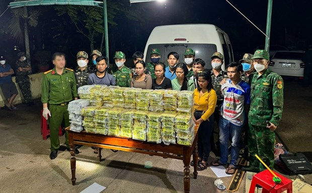 Transnational drug ring busted in Quang Tri province hinh anh 1