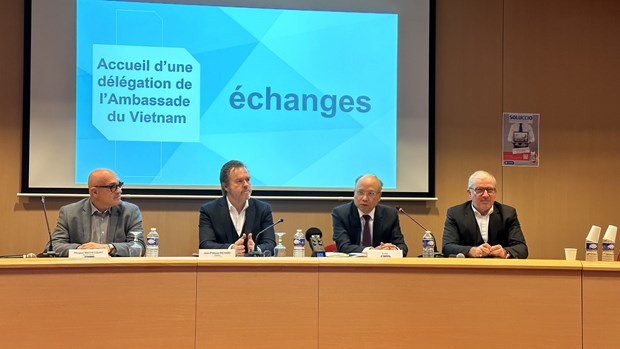 French businesses interested in Vietnamese market hinh anh 1