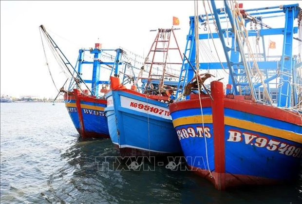 Vessels involved in IUU fishing decline sharply in Ba Ria - Vung Tau hinh anh 1