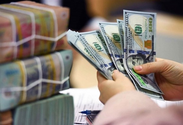 Vietnamese businesses concerned about dollar appreciation hinh anh 1