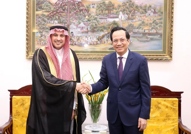 Vietnam, Saudi Arabia bolster labour collaboration hinh anh 1