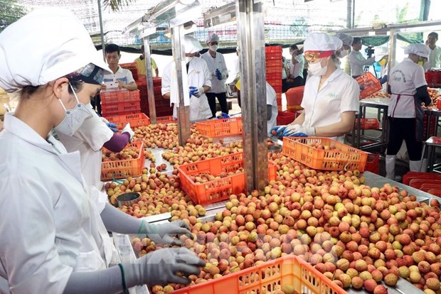 Ample room remains for Vietnam's exports to China hinh anh 1