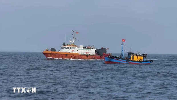 New decrees contribute to perfecting anti-IUU fishing regulations hinh anh 1