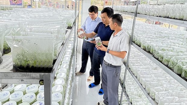 Businesses speed up green, digital transformation for breakthrough hinh anh 1